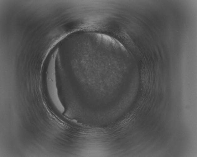 X0000060280488200511241525