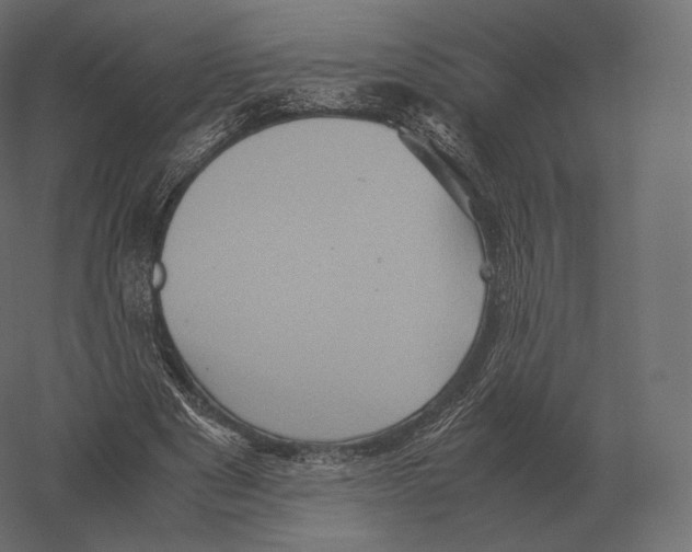 X0000060280489200511241525