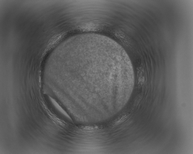 X0000060280494200511241525