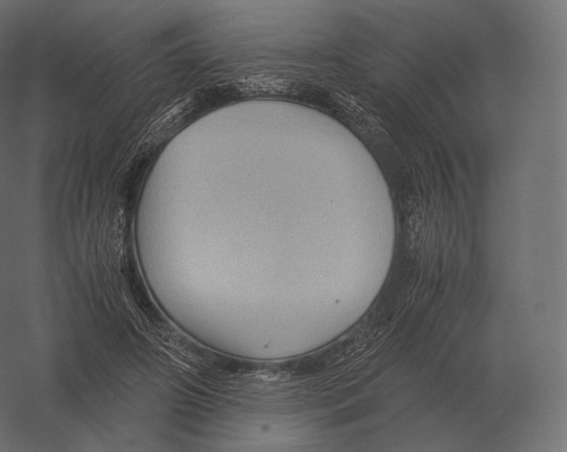 X0000060280498200511241525