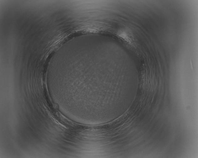 X0000060280500200511241525