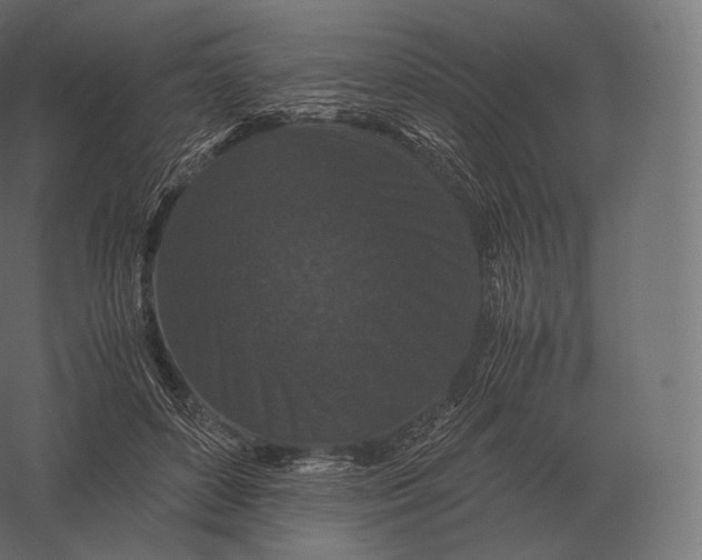 X0000060280504200511241525