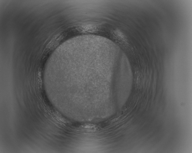 X0000060280506200511241525
