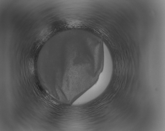 X0000060280508200511241525