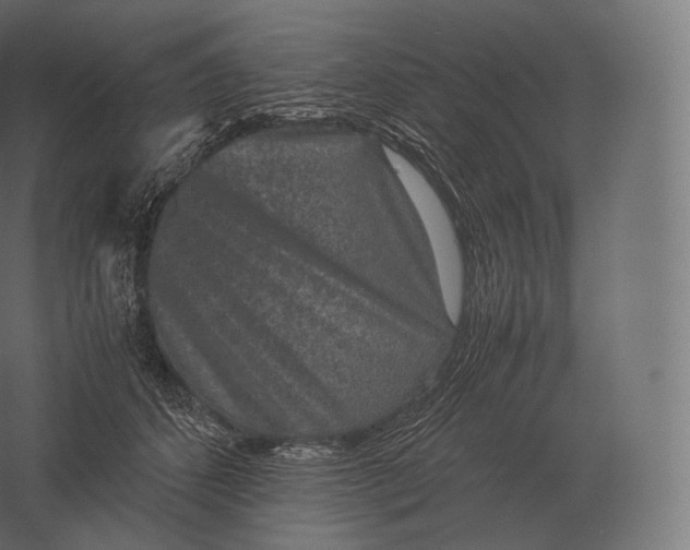 X0000060280512200511241525