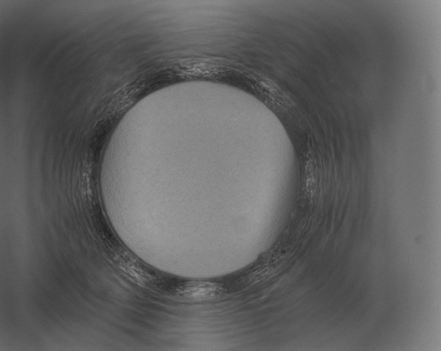 X0000060280514200511241525