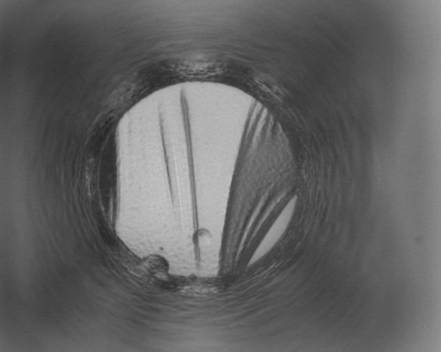 X0000060280515200511241525