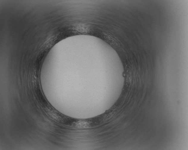 X0000060280518200511241525