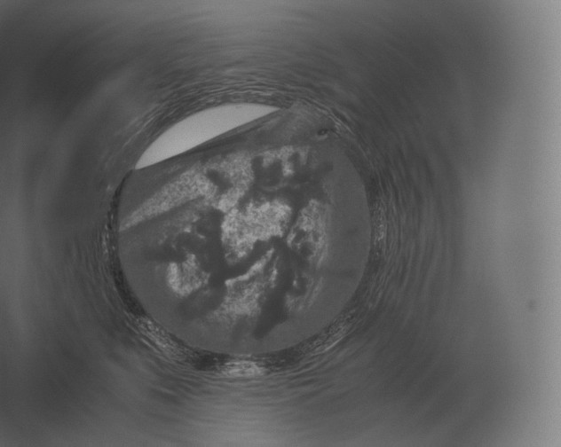 X0000060280519200511241525