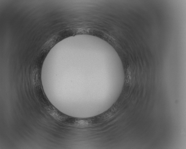 X0000060280522200511241525
