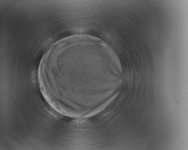 X0000060280526200511241525