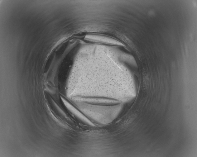 X0000060280530200511241524