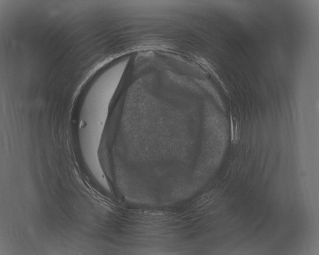 X0000060280531200511241524