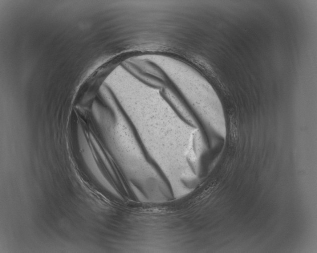 X0000060280532200511241524