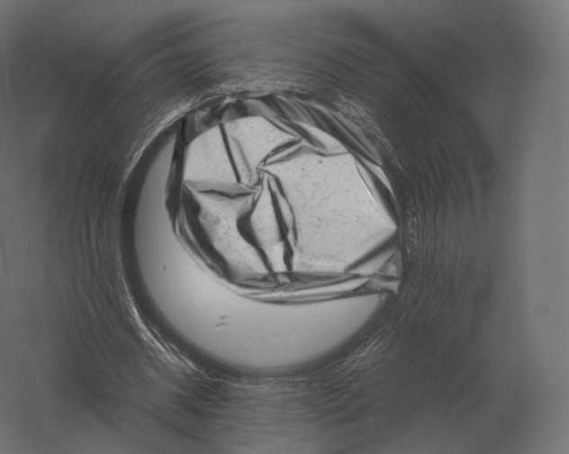 X0000060280534200511241524