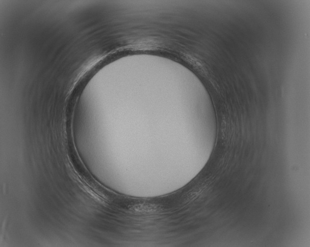 X0000060280535200511241524