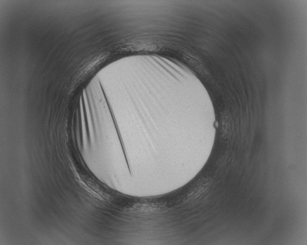 X0000060280538200511241524
