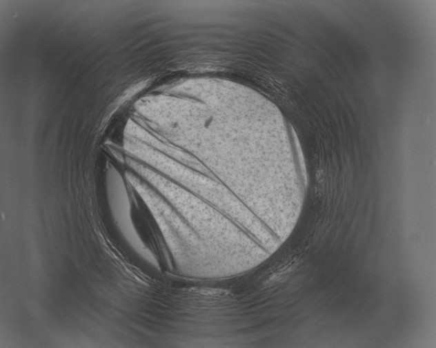 X0000060280539200511241524