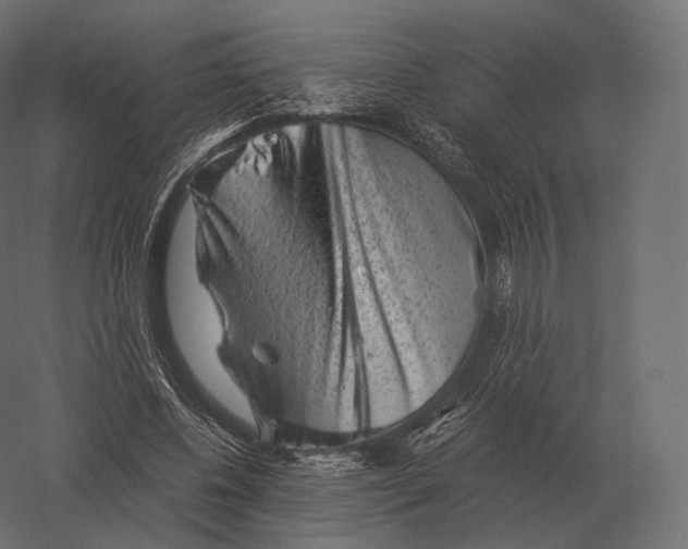 X0000060280540200511241524