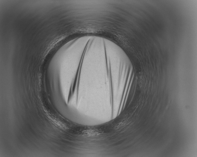 X0000060280544200511241524