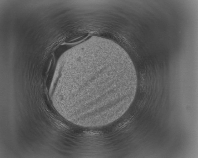 X0000060280545200511241524