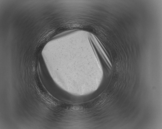 X0000060280546200511241524