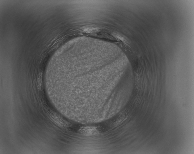 X0000060280554200511241524