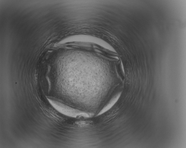 X0000060280558200511241524