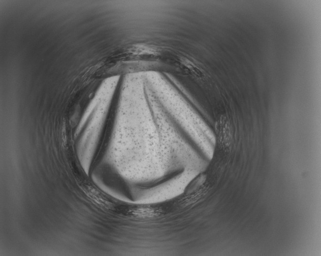 X0000060280562200511241524
