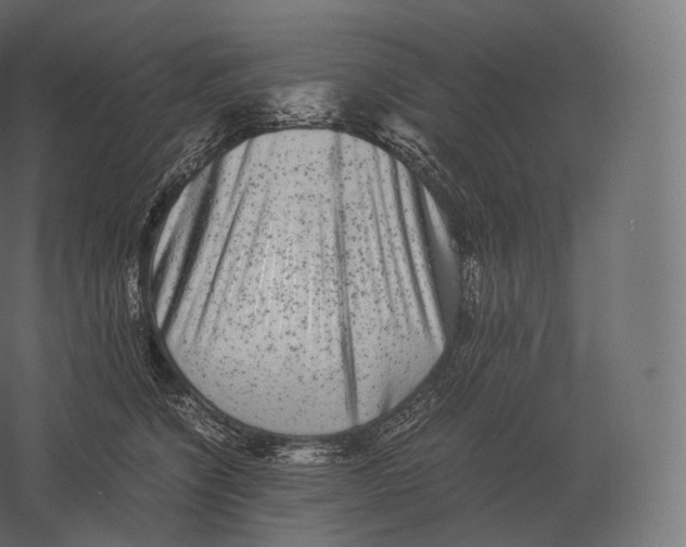 X0000060280564200511241524