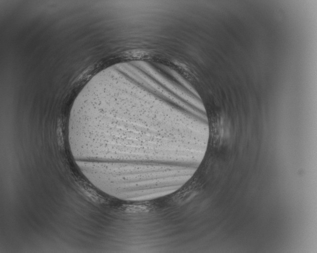 X0000060280572200511241524
