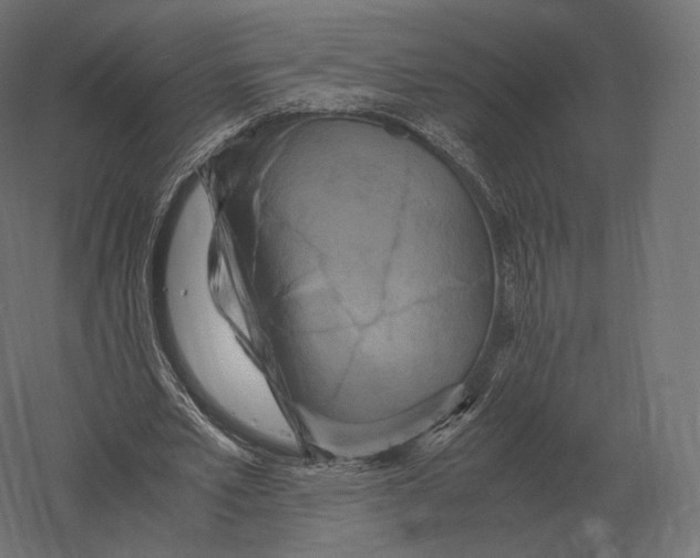 X0000060280581200511241524