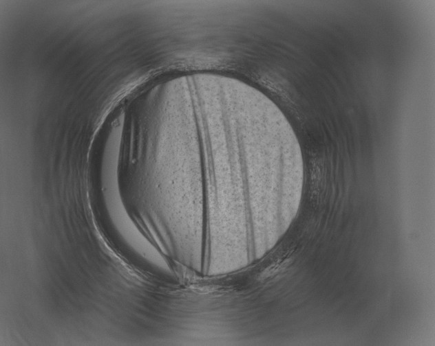 X0000060280582200511241524