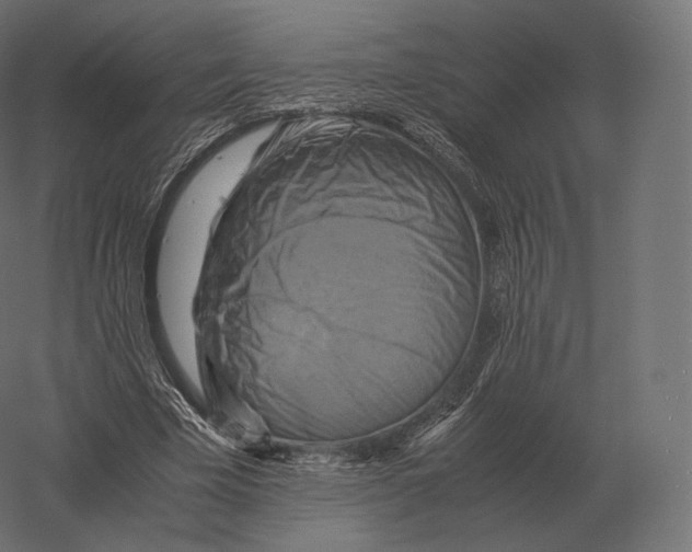 X0000060280585200511241523