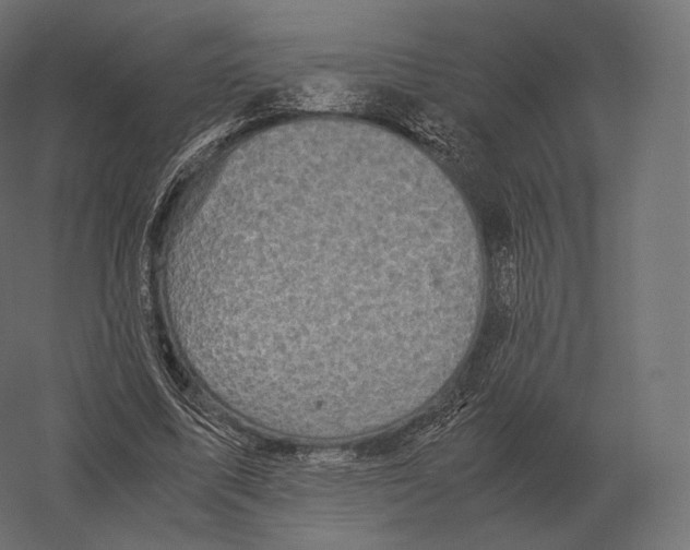 X0000060280587200511241523