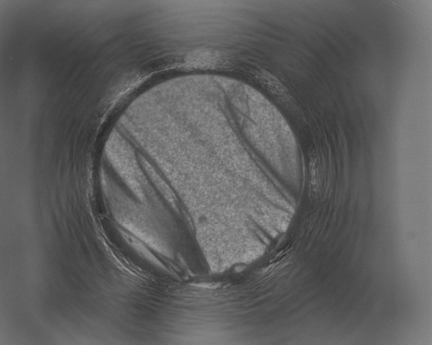 X0000060280588200511241523