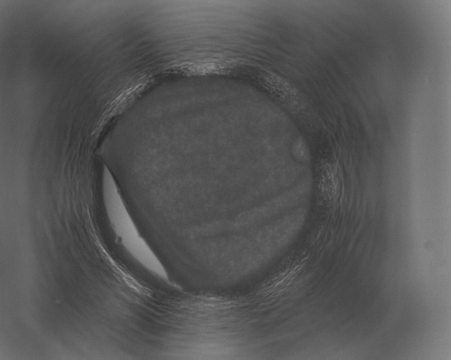 X0000060280590200511241523