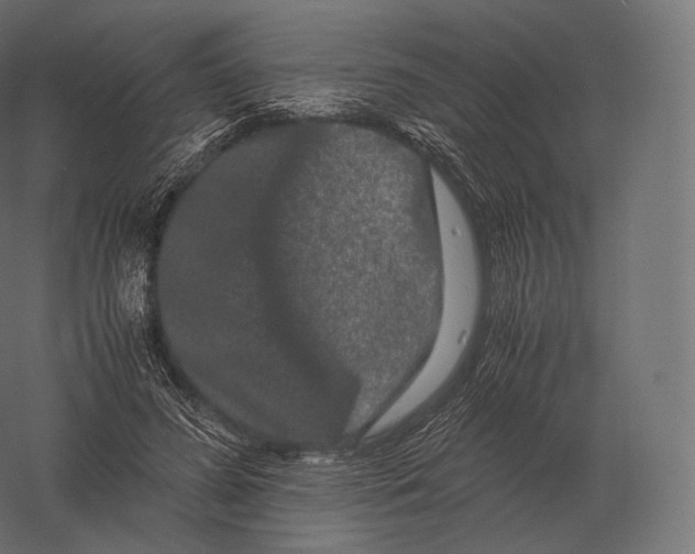 X0000060280596200511241523