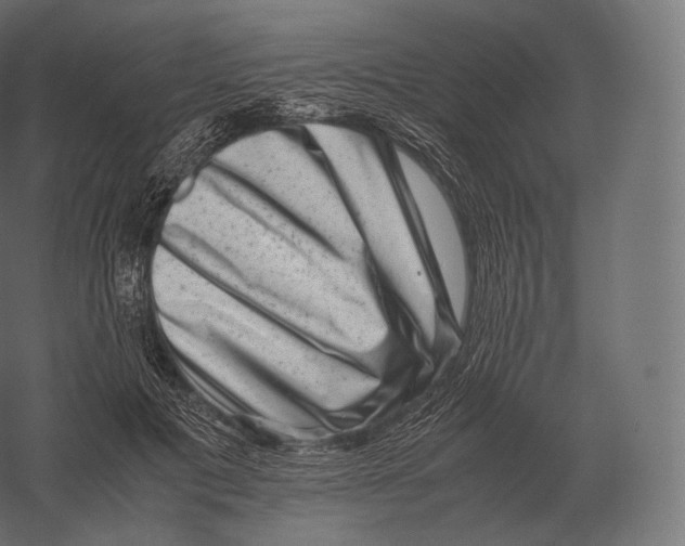 X0000060280601200511241523