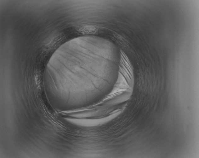 X0000060280604200511241523