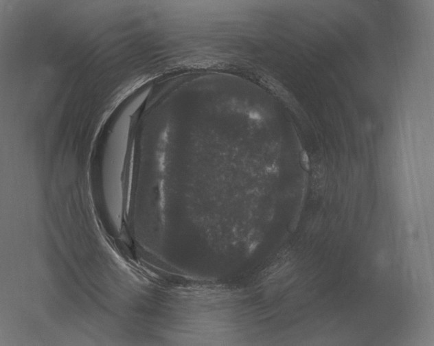 X0000060280626200511241522