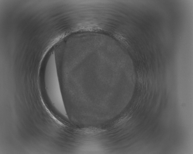 X0000060280630200511241522