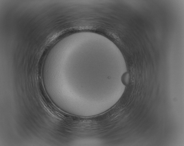 X0000060280631200511241522