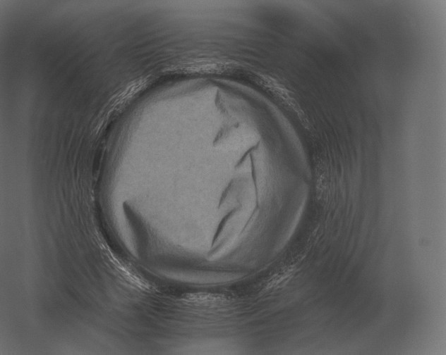 X0000060280633200511241522