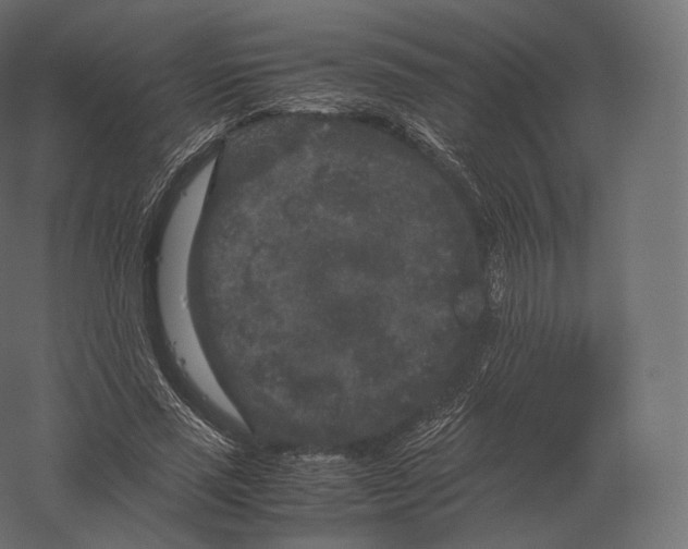 X0000060280637200511241522
