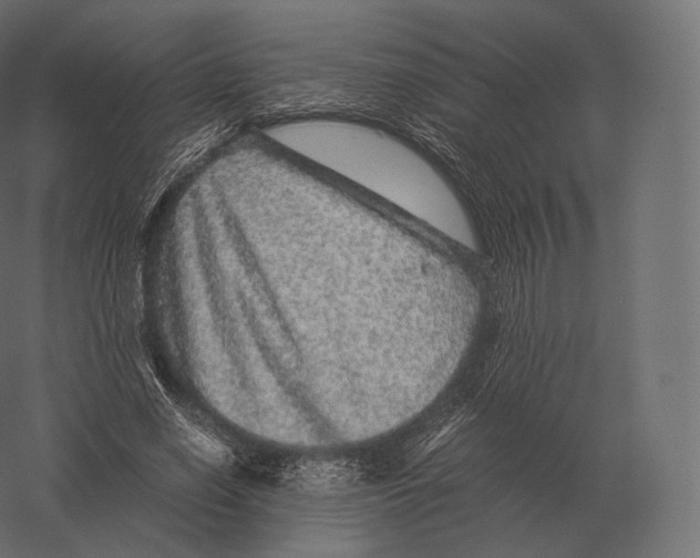 X0000060280638200511241522