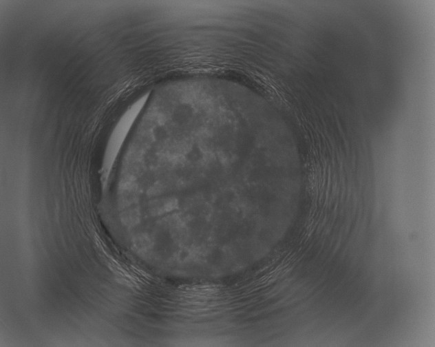 X0000060280643200511241522