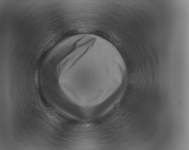X0000060280646200511241522