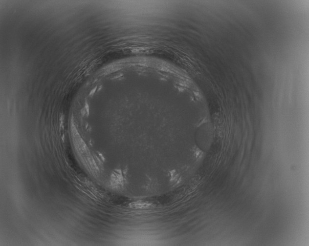 X0000060280650200511241522