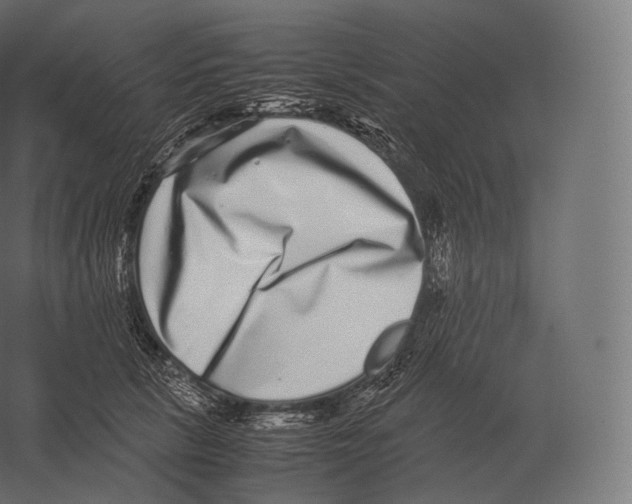 X0000060280657200511241523